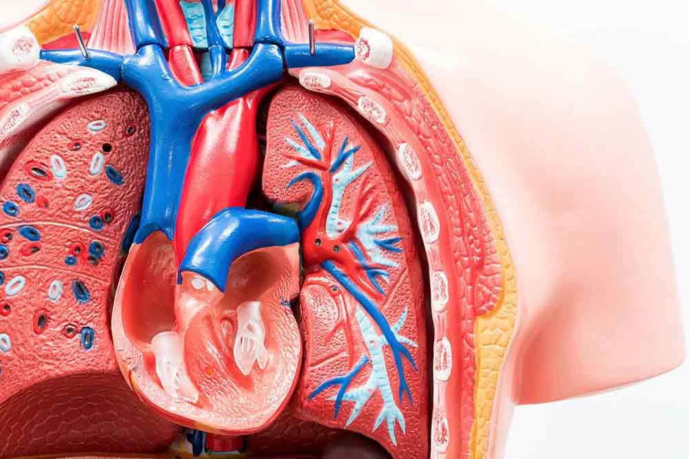 abdominal-pain